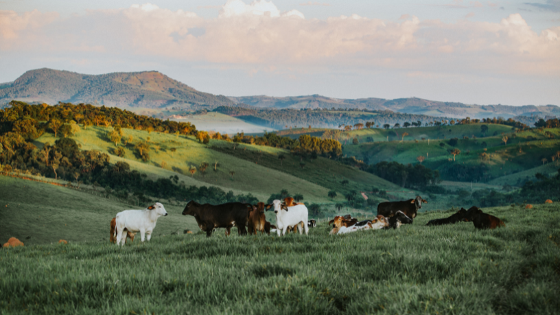 O turismo agroecológico é uma aposta sustentável que une cultura e renda no campo — como defende Aldo Vendramin.